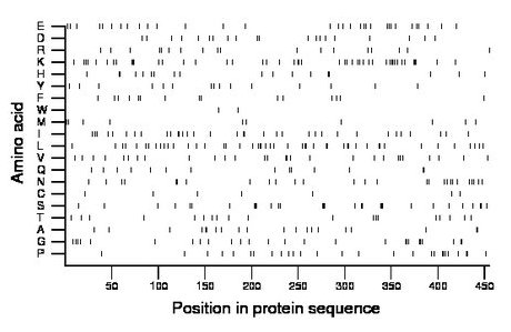 amino acid map