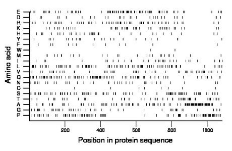 amino acid map