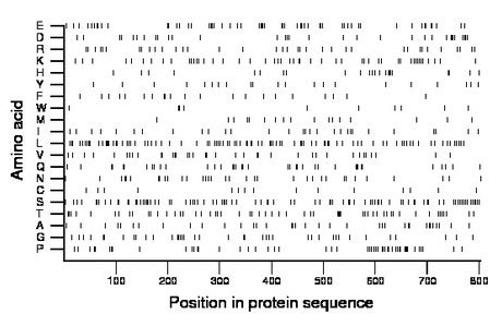 amino acid map