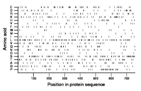 amino acid map