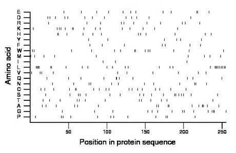 amino acid map