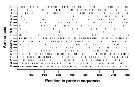 amino acid map