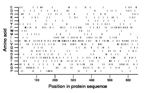 amino acid map