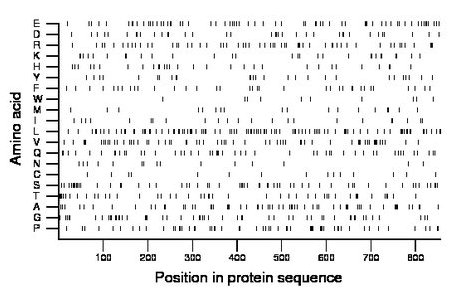 amino acid map