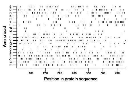 amino acid map