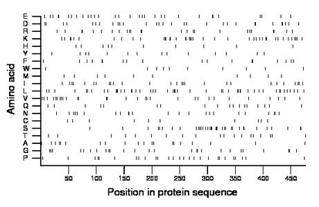 amino acid map