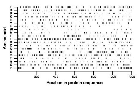 amino acid map