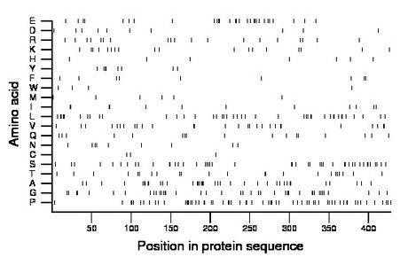 amino acid map