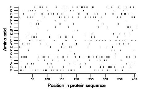 amino acid map