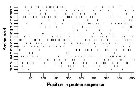 amino acid map