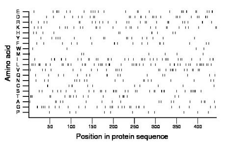 amino acid map