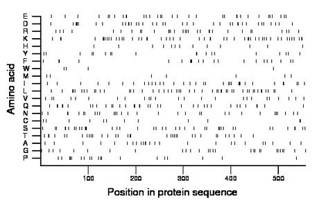 amino acid map