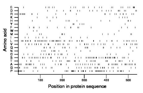 amino acid map