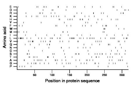 amino acid map