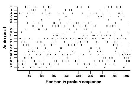 amino acid map