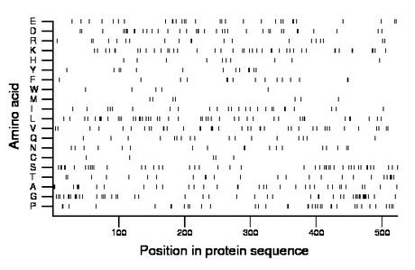 amino acid map