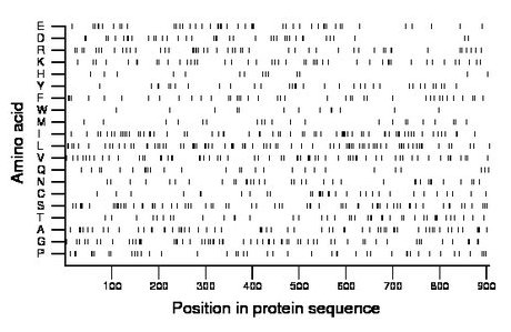 amino acid map