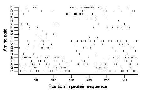 amino acid map