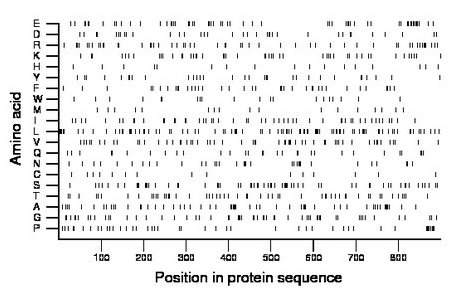 amino acid map