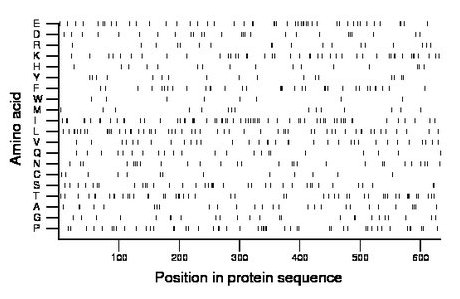 amino acid map