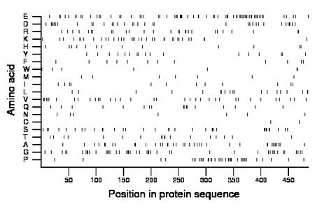 amino acid map