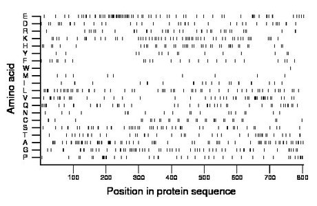 amino acid map