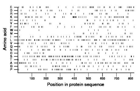 amino acid map