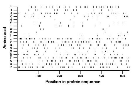 amino acid map