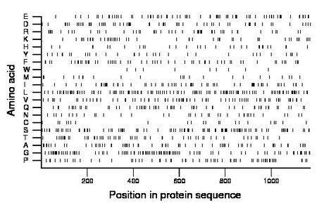 amino acid map