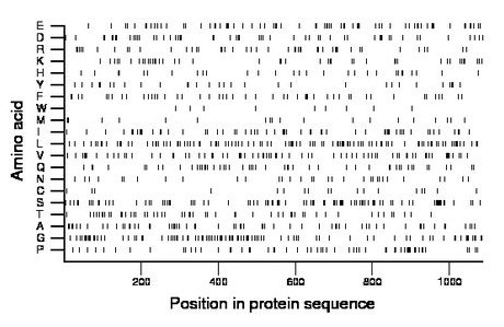 amino acid map