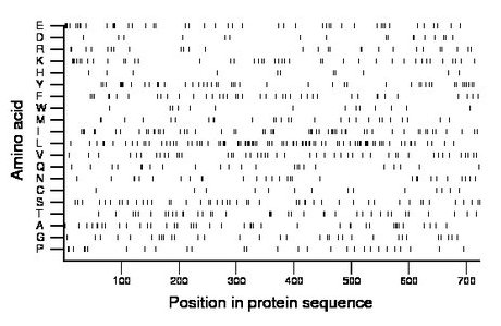 amino acid map