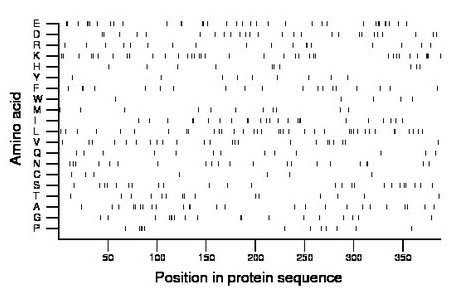 amino acid map