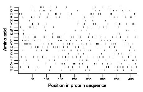 amino acid map