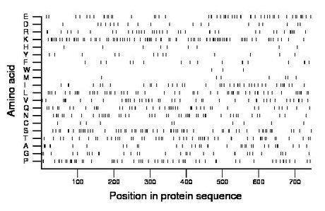 amino acid map