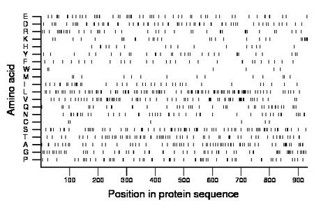 amino acid map