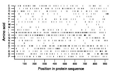 amino acid map