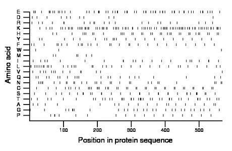 amino acid map