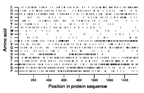 amino acid map