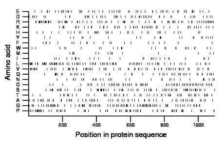 amino acid map