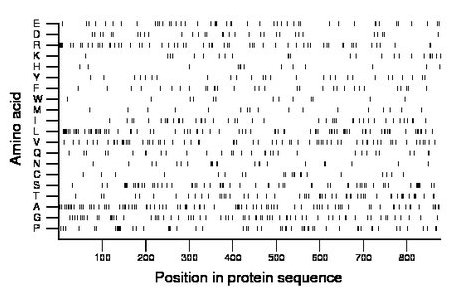 amino acid map