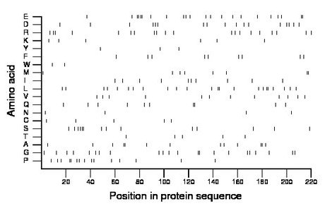 amino acid map