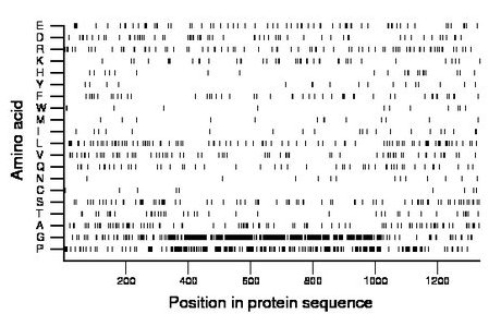 amino acid map