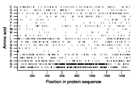 amino acid map