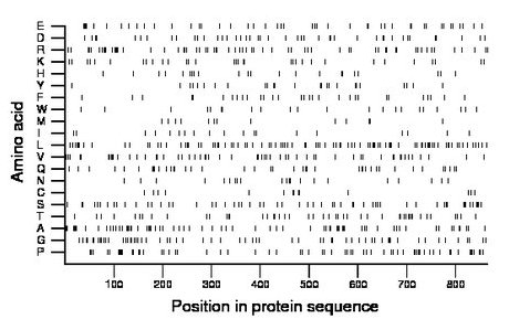 amino acid map