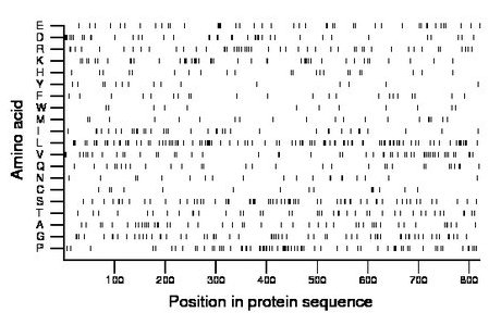 amino acid map