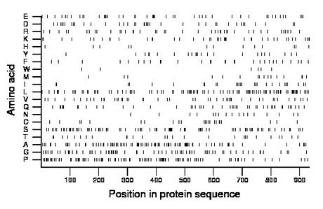 amino acid map