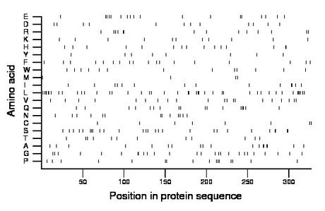 amino acid map