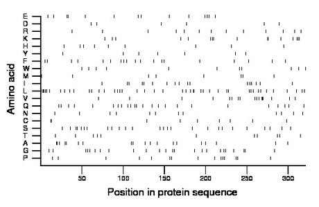 amino acid map