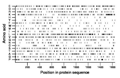 amino acid map