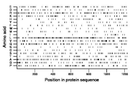 amino acid map